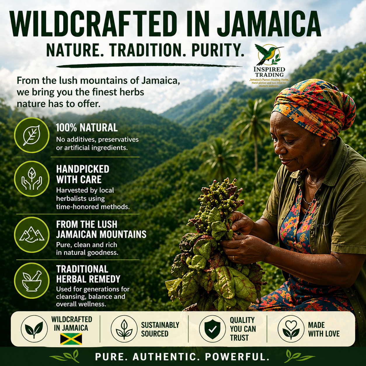 Jamaican Duck Flower Detox- Handpicked In Portland