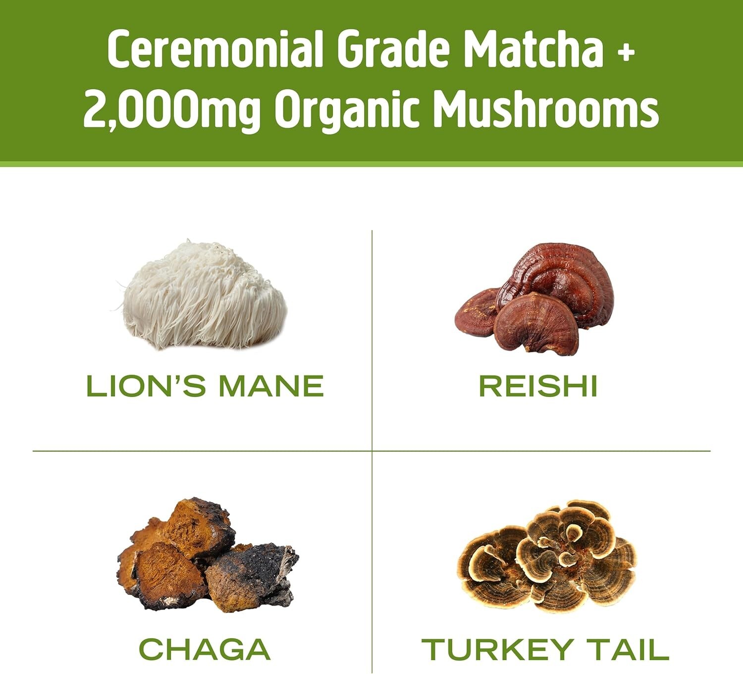 Om Mushrooms Mushroom Matcha Latte 10 Pack Superfood
