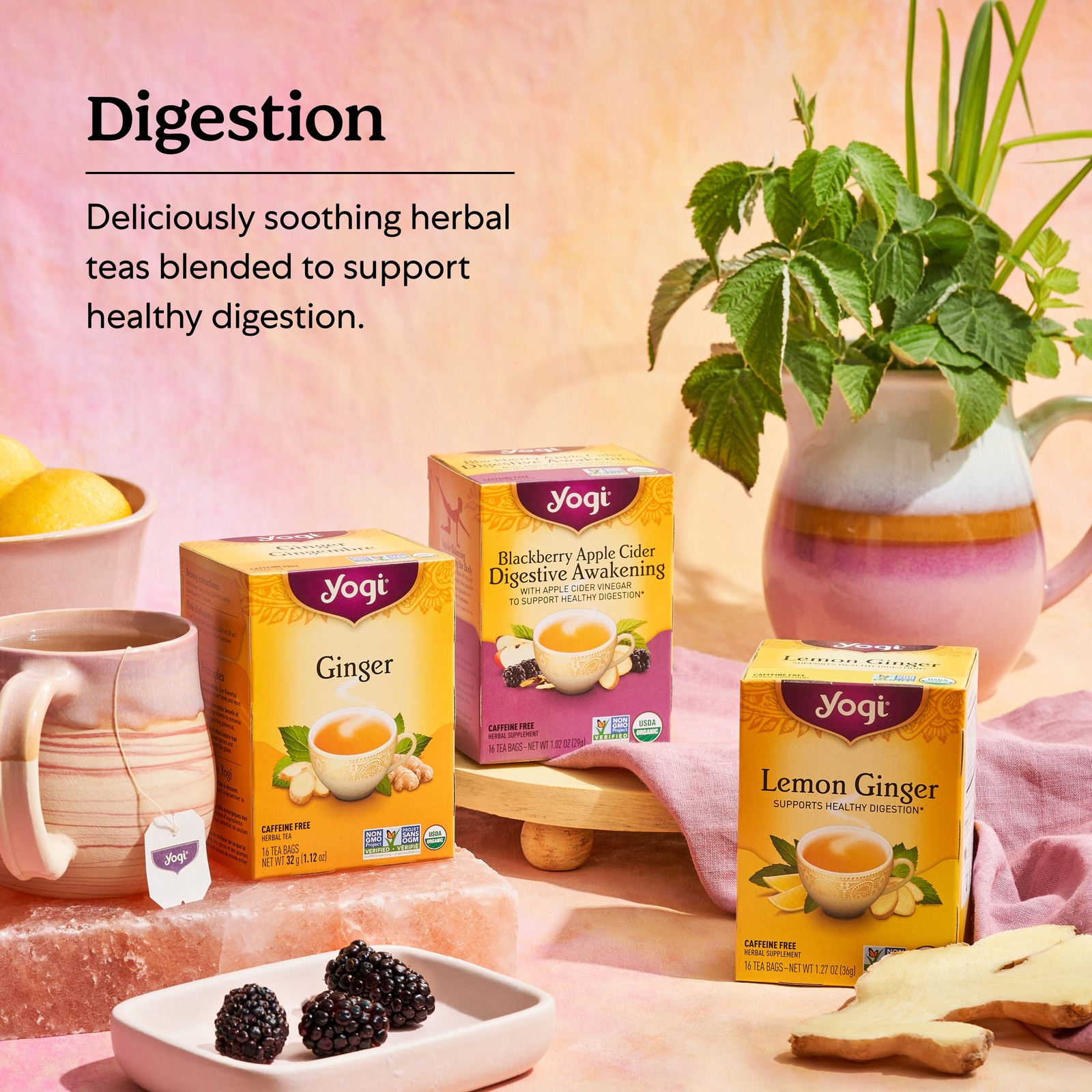 Yogi Tea – Lemon Ginger – Supports Healthy Digestion – 6 Pack, 96 Tea Bags