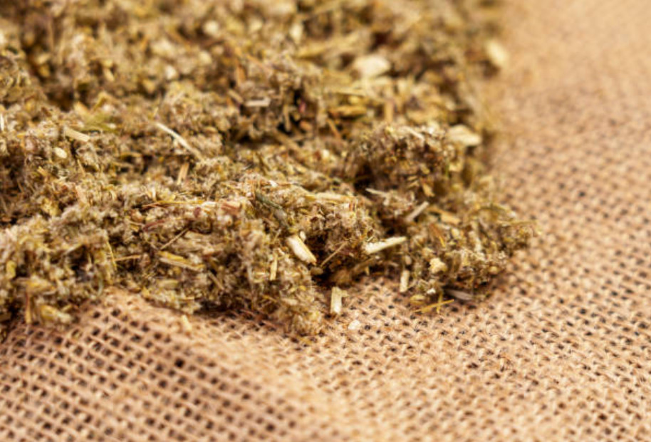 Wormwood Herb or Powder | Organic Natural Herb | 1/4/8oz | Digestion Cleanse Aid