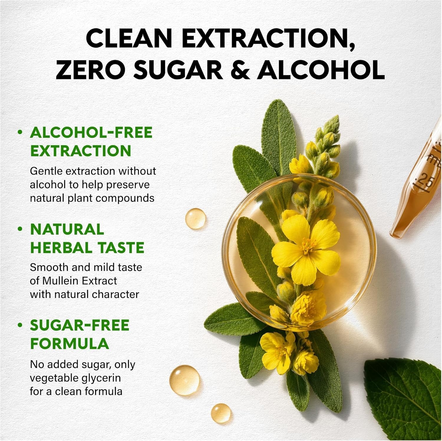 Mullein Drops for Lungs – USDA Organic Liquid – Mullein Leaf Extract