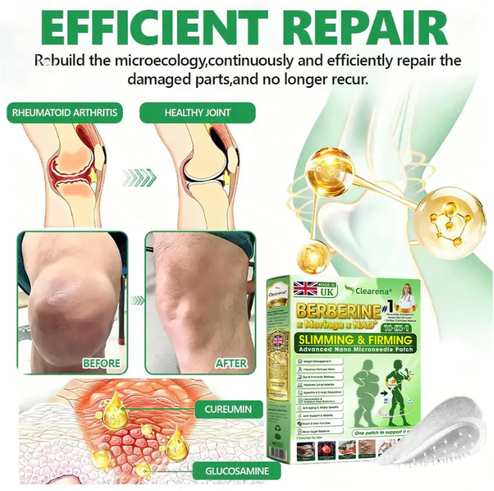 DR.HONOR Moringa Berberine NAD+ Weight Loss Patches Advanced Nano Microneedle