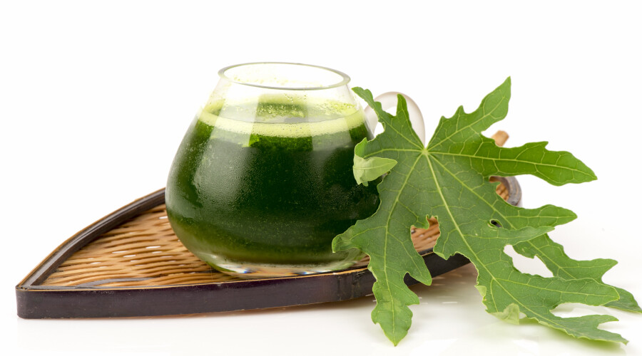 Papaya Leaf Powder I Supports Healthy Blood Platelets & Digestion, Anti-Oxidant