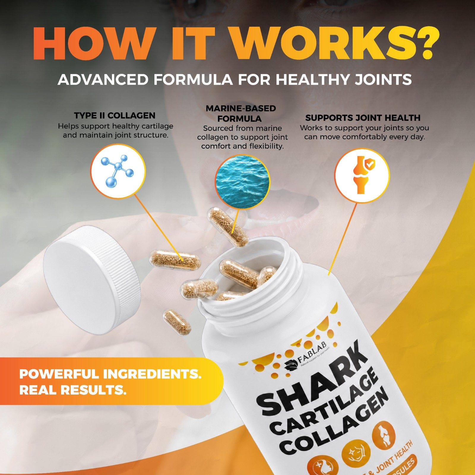 FabLab Shark Cartilage 2 Pack – 200 Capsules – Joint & Bone Support Supple