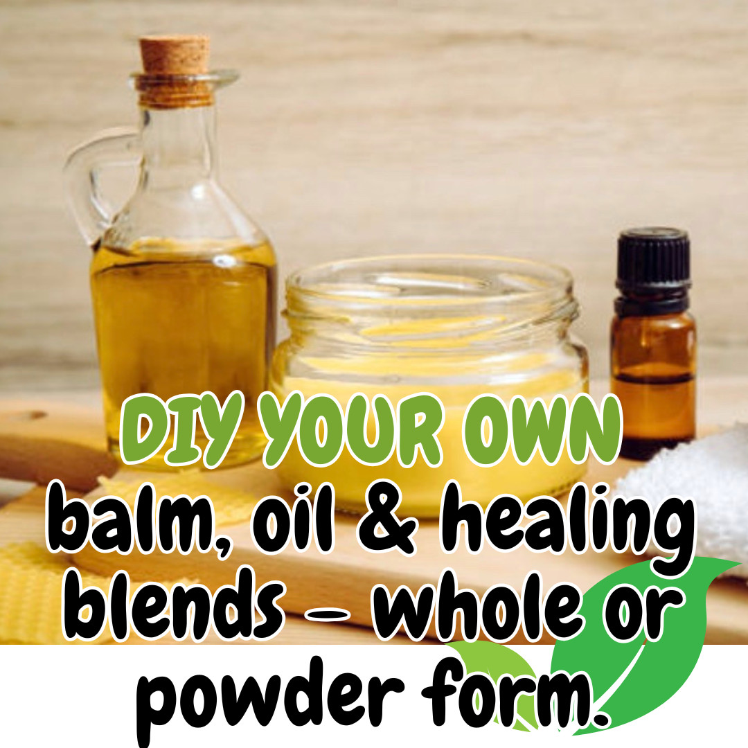 Wormwood Herb or Powder | Organic Natural Herb | 1/4/8oz | Digestion Cleanse Aid