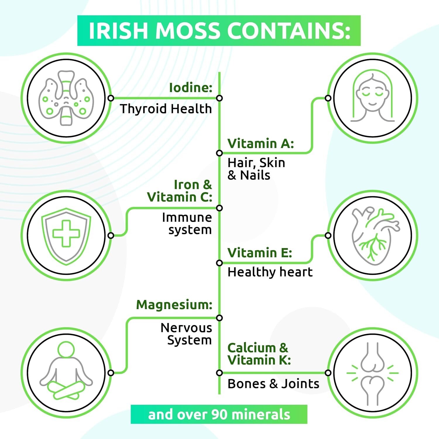Irish Sea Moss Gel with Dried Seaweed Seamoss | Mango Pineapple + Mango | 2 Jars