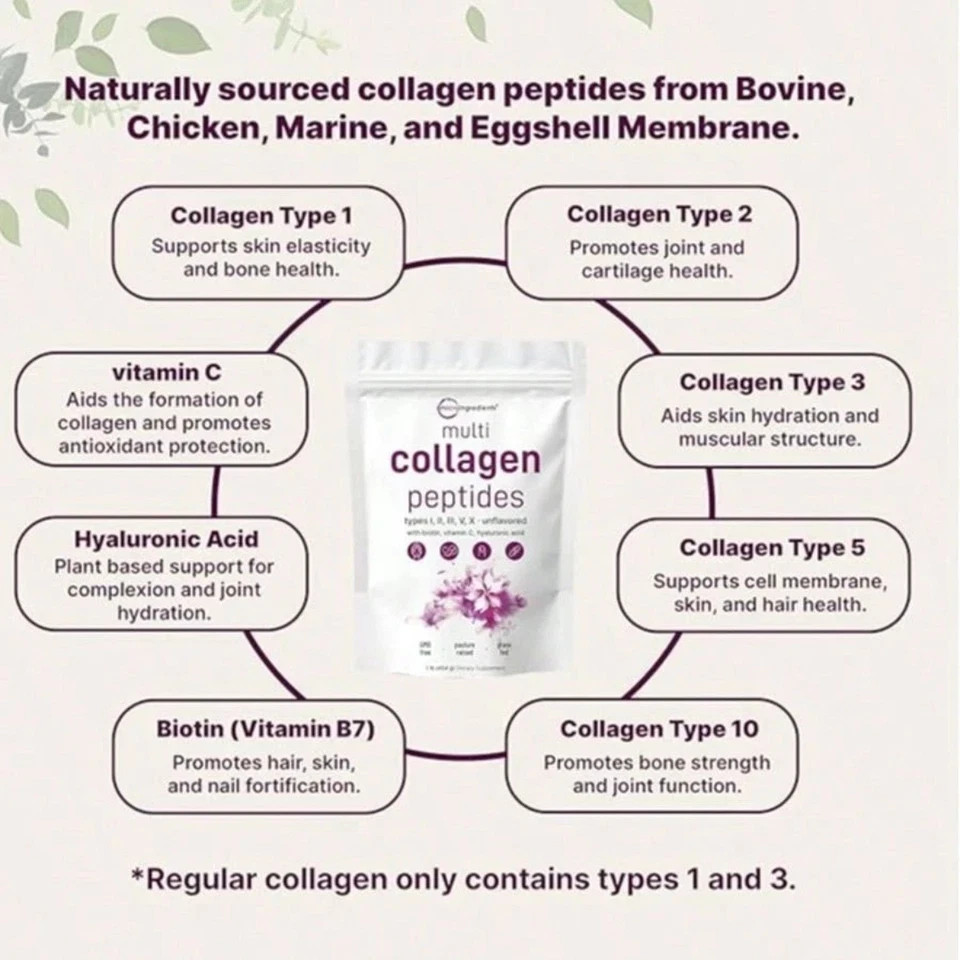 Micro Ingredients Multi Collagen Peptides I/II/III/V/X Unflavored 1LB