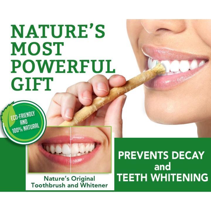 Al-Riyan Sewak Traditional Miswak Toothbrush-Vacuum Packed Natural Flavor
